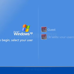 Spielbilder von SPIDER SOLITAIRE WINDOWS XP THEME 1