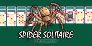 play Spider Solitaire by Classic Solitaire