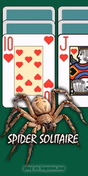 play Spider Solitaire by Classic Solitaire