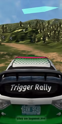 play Trigger Rally 3D