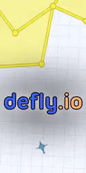 play Defly io