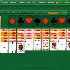 Foto di gioco di SPIDER SOLITAIRE BY GREEN FELT 2