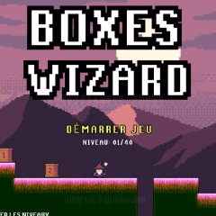 Игровые фото Boxes Wizard 2