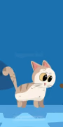 play Kitty Cat