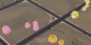 играть Hury .io