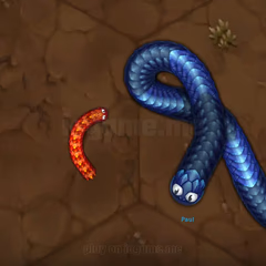 Little-Big-Snake io Gameplay Photos 2