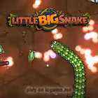 play Little Big Snake io