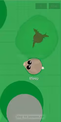 play Mope io