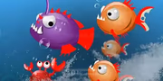  Oceanar.io 
