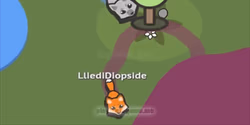 play Paper Animals