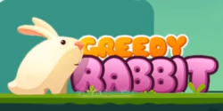 play Greedy Rabbit