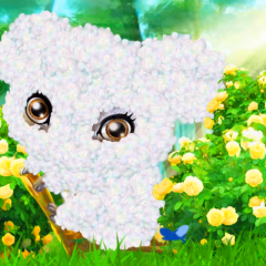 Happy Koala Gameplay Photos 3
