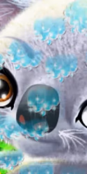 play Happy Koala