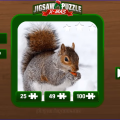 Jigsaw Puzzle XMas Gameplay Photos 1