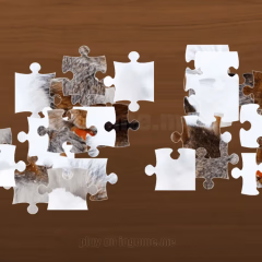 Jigsaw Puzzle XMas Gameplay Photos 2
