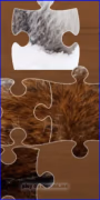 play Jigsaw Puzzle XMas