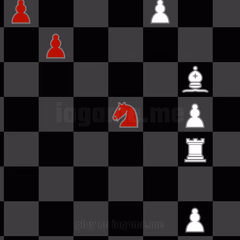 Игровые фото Xess 1
